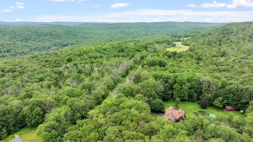 116 Skyline Trail Middlefield, MA 01235 - Photo 33 of 37 a view of a lush green forest with lots of trees