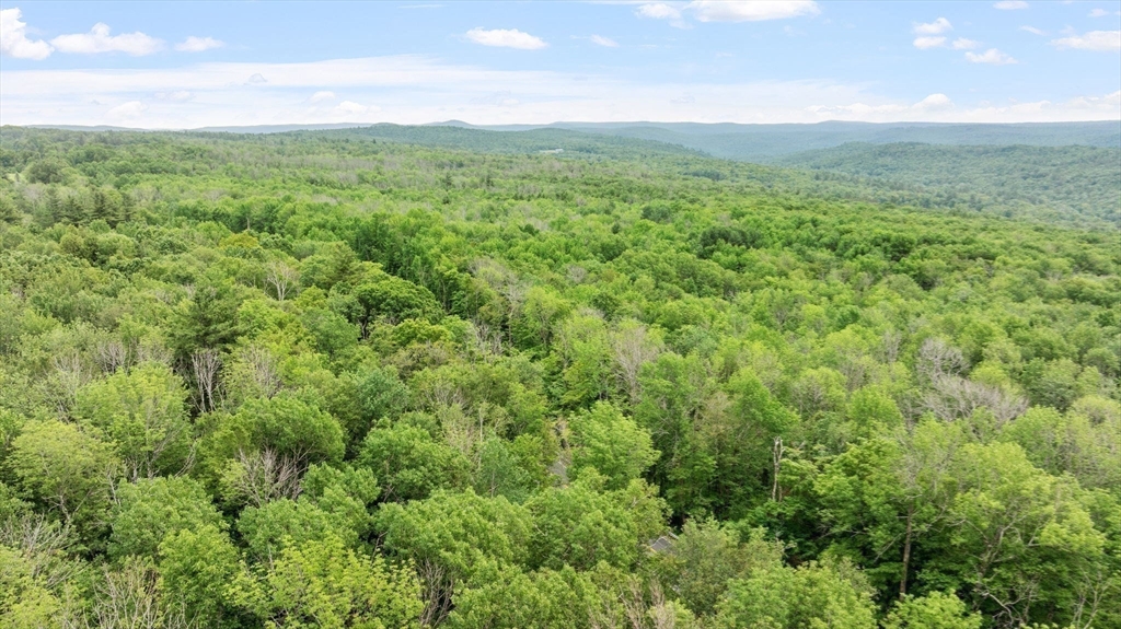 116 Skyline Trail Middlefield, MA 01235 - Photo 34 of 37 a view of a green field with lots of trees