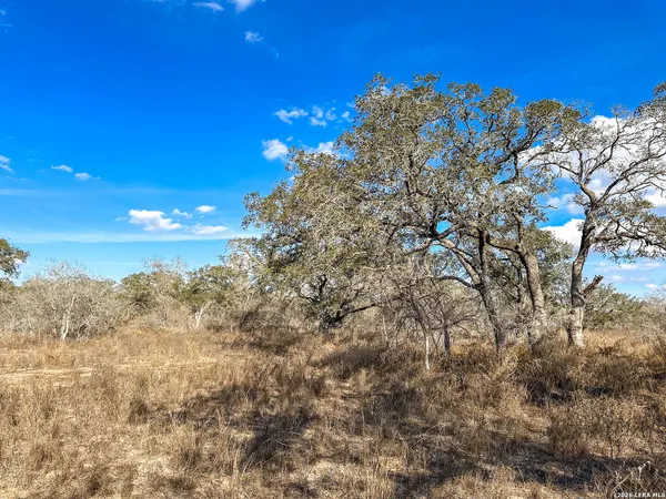 $166,250 | 2703 Cr 770 Natalia Tx 78059, Natalia, TX 78059