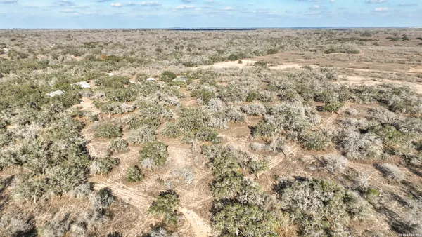 a view of a dry yard