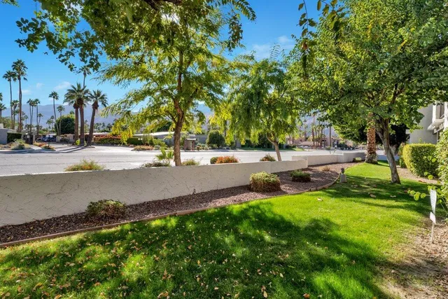 a view of a park with large trees