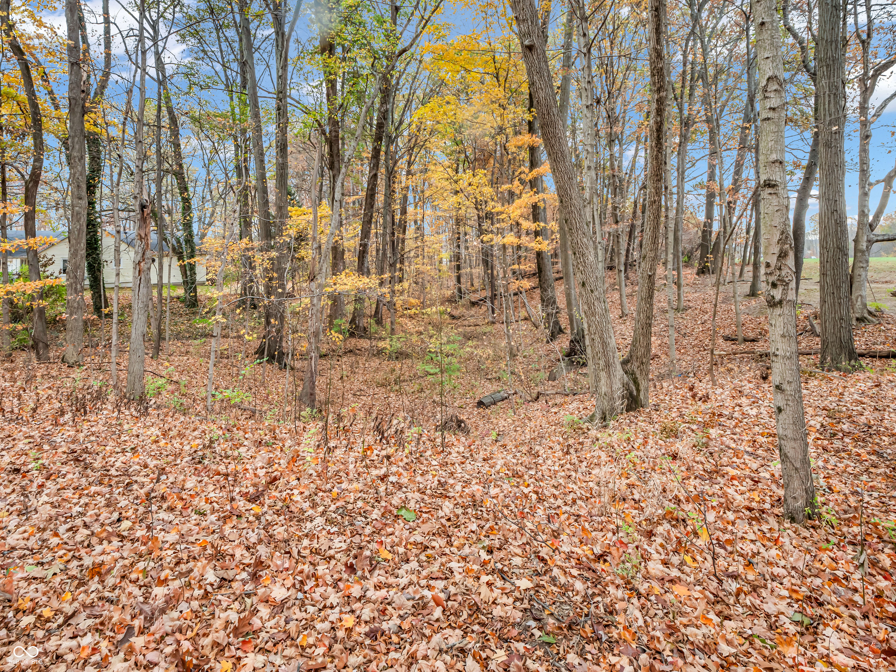 6155 North Brummett Road Quincy, IN 47456 - Photo 28 of 43 Gallery Image 28