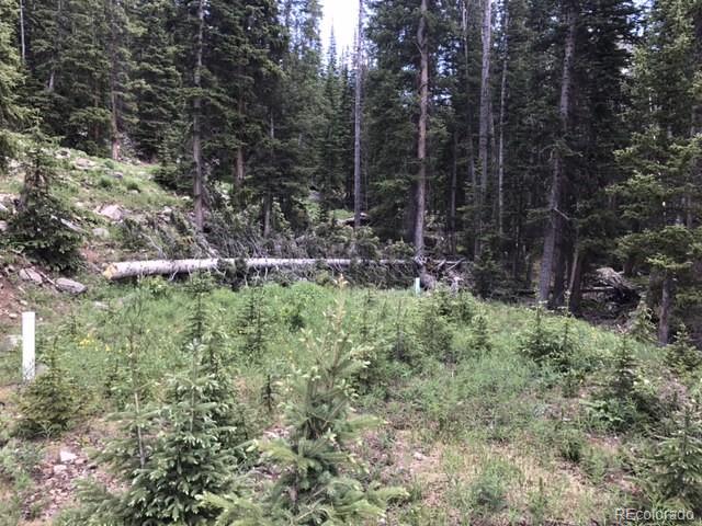 394 Bullion Mine Road Dillon, CO 80435 - Photo 3 of 5 Gallery Image 3