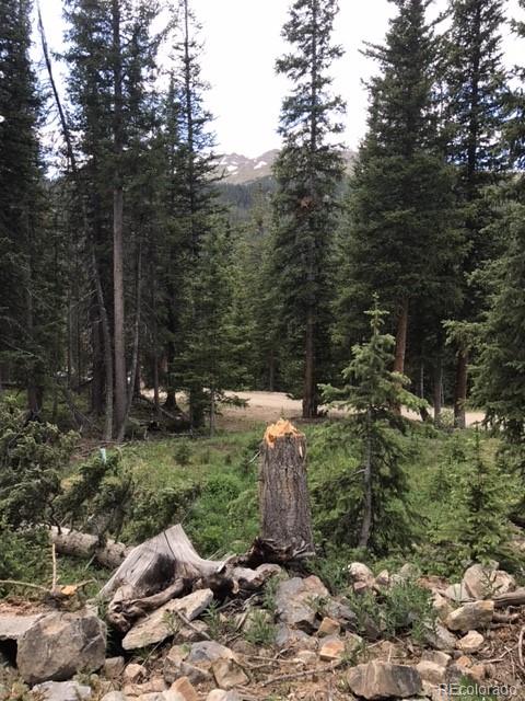 394 Bullion Mine Road Dillon, CO 80435 - Photo 5 of 5 Gallery Image 5