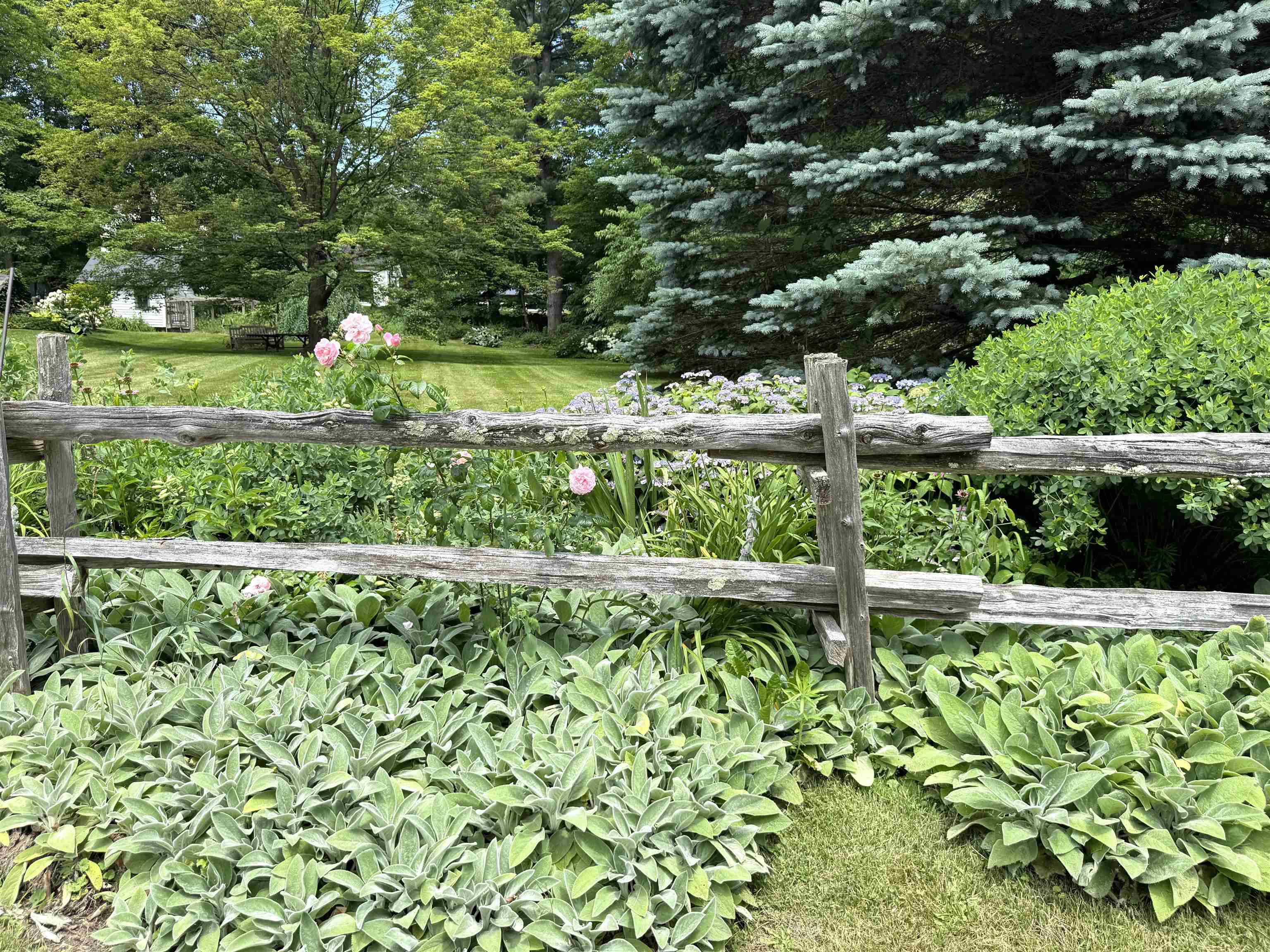 40 Schoolhouse Road Salisbury, VT 05769 - Photo 50 of 52