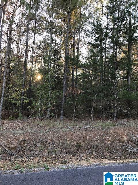 0 North Horton Road, Unit 2 Wilsonville, AL 35186 - Photo 1 of 7
