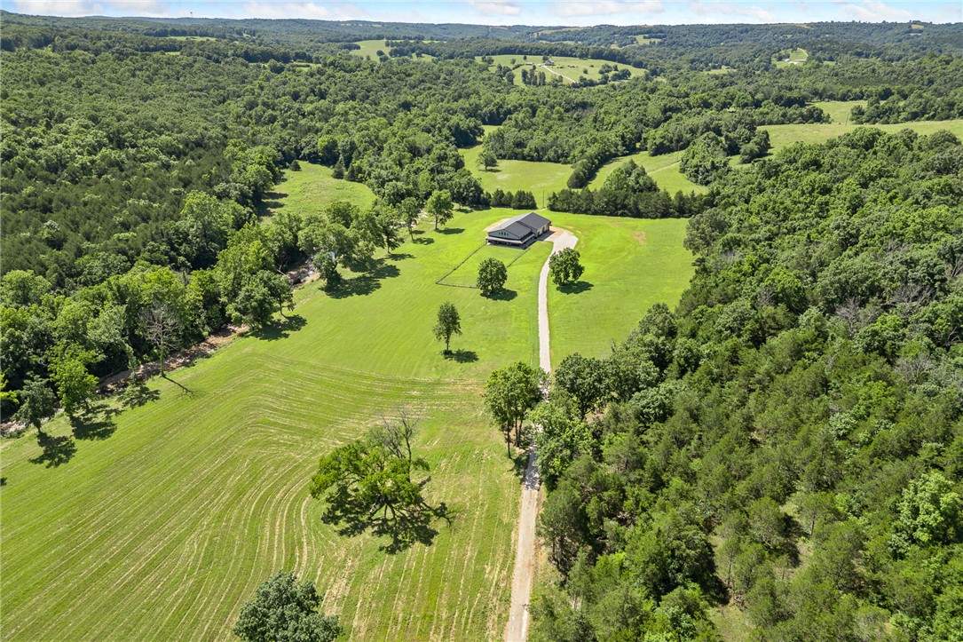 13136 Cedar Grove Road Lead Hill, AR 72644 - Photo 13 of 54 Gallery Image 13