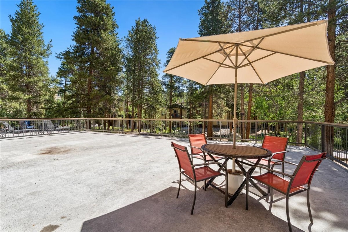 720 Columbine Road, Unit 104 Breckenridge, CO 80424 - Photo 19 of 28