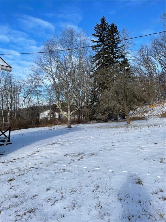 4321 Highway 286 Indiana, PA 15701 - Photo 4 of 10 a view of dirt yard with a tree