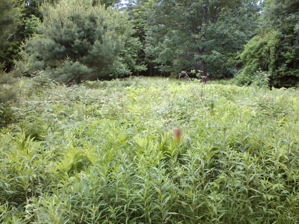 0 Northwest Round-The-Pond Road Norway, ME 04268 - Photo 18 of 25 Photo