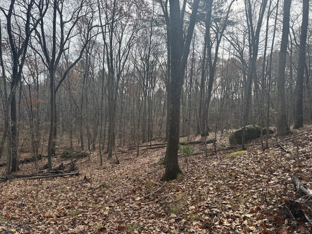 74 Warren Street Upton, MA 01568 - Photo 2 of 2