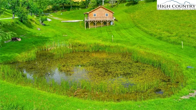 a backyard of a house with lots of green space and plants