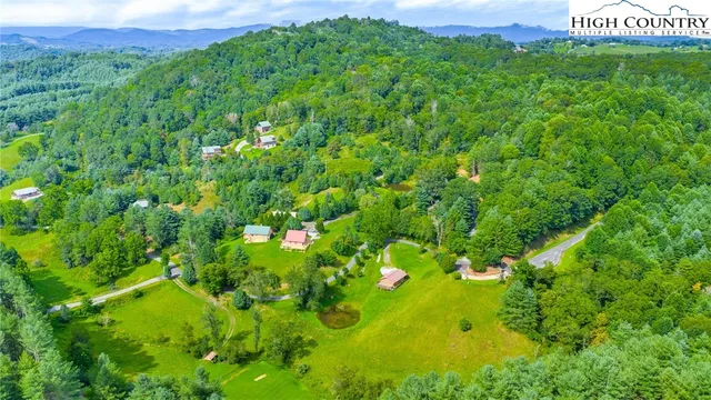 a view of a big yard with plants and large trees