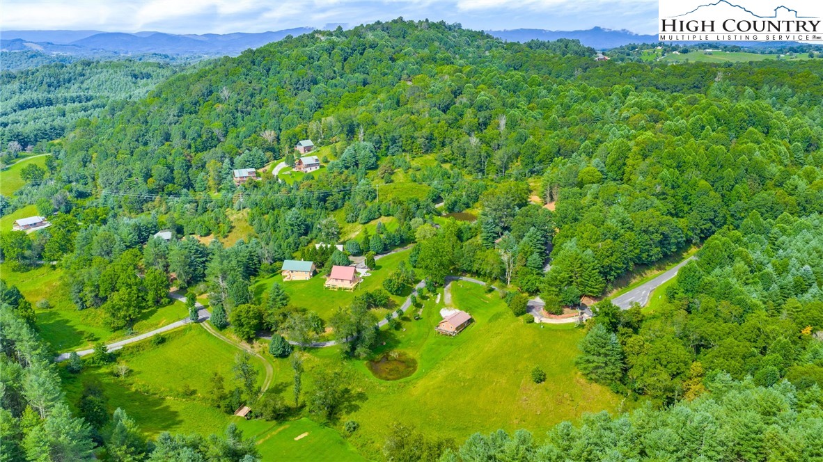 637 River Country Road Piney Creek, NC 28663 - Photo 32 of 49 a view of a big yard with plants and large trees