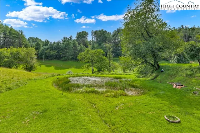 a view of yard with green space