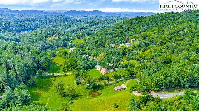 a view of a lush green forest with a houses