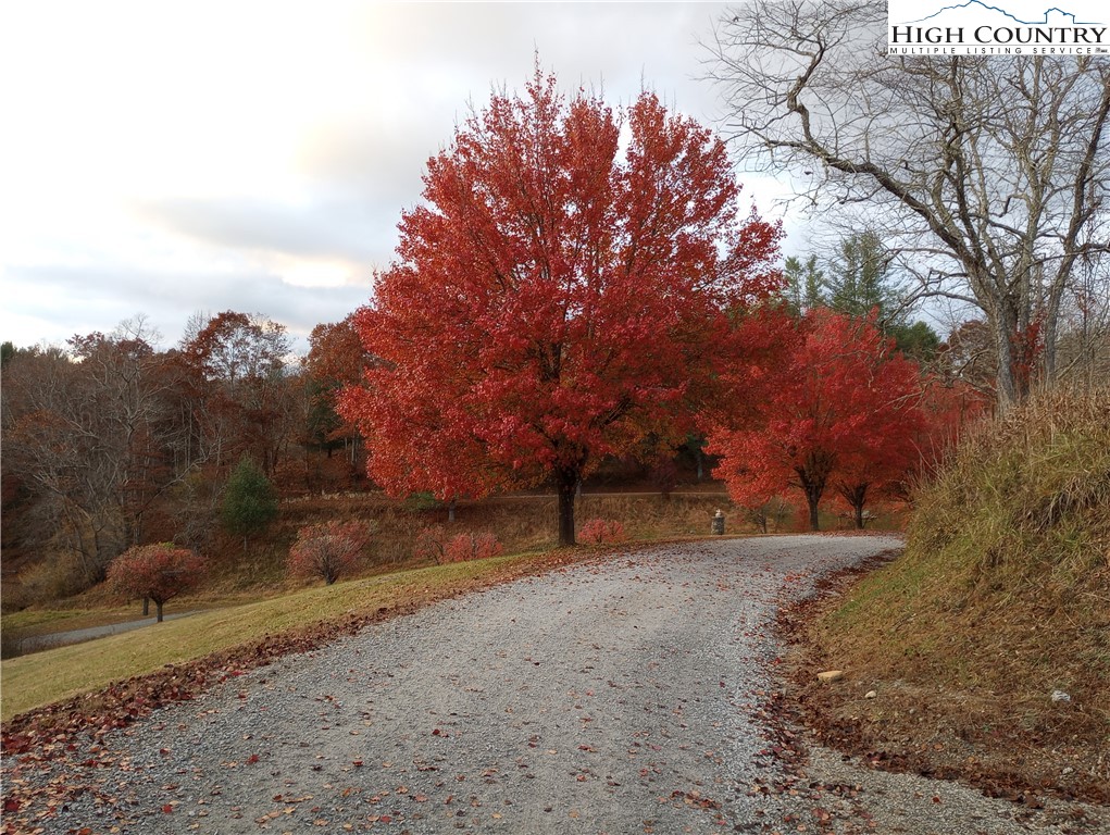 637 River Country Road Piney Creek, NC 28663 - Photo 40 of 49 a view of a backyard with large trees