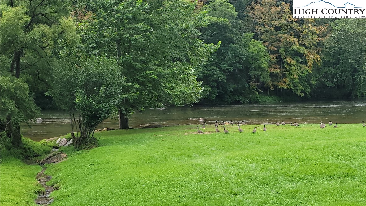 637 River Country Road Piney Creek, NC 28663 - Photo 43 of 49 a view of a water pond with green yard