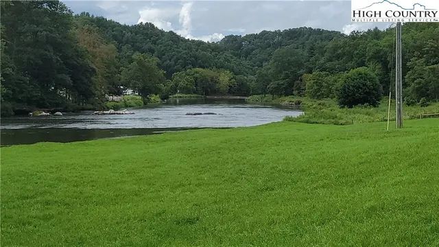a view of a park with large trees