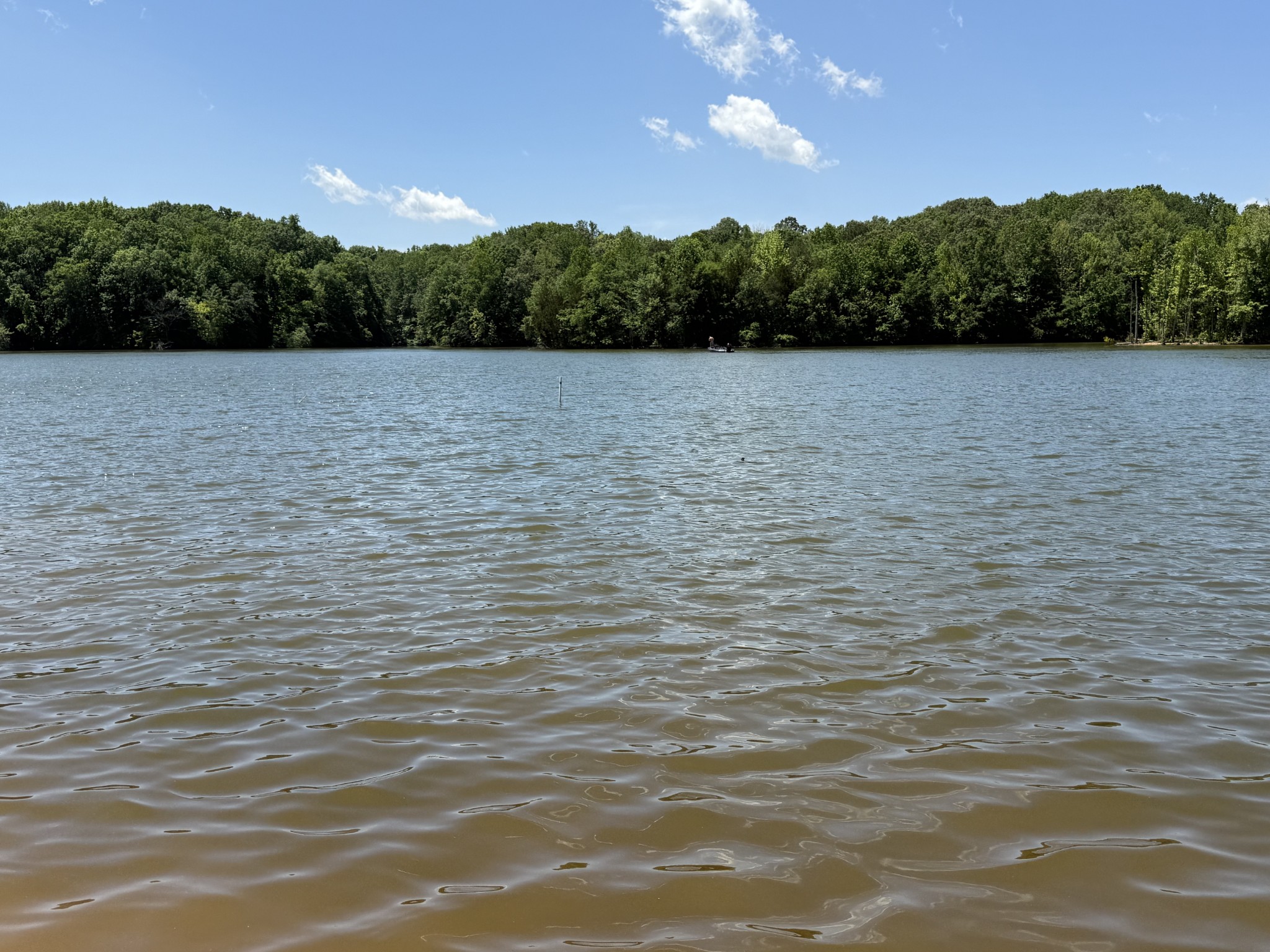 1419 Dripping Springs Road Winchester, TN 37398 - Photo 20 of 24 a view of lake with green space