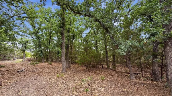 $119,900 | Lot 97-ph Pr 42101 Evant Tx 76525, Evant, TX 76525