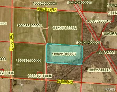 0 Felton Road Centralia, IL 62801 - Photo 2 of 7