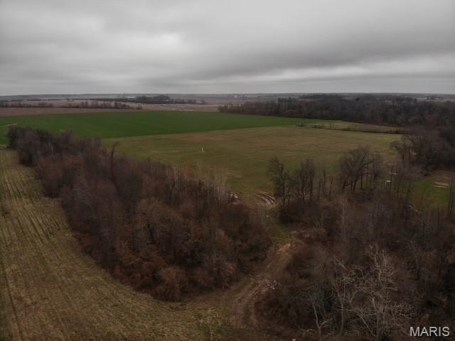 0 Felton Road Centralia, IL 62801 - Photo 4 of 7