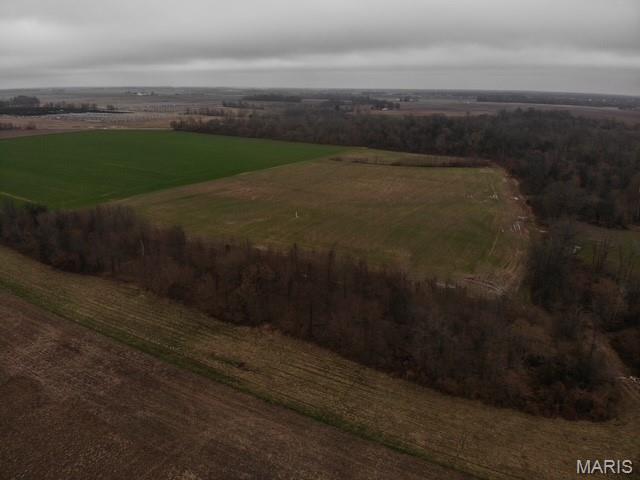 0 Felton Road Centralia, IL 62801 - Photo 5 of 7