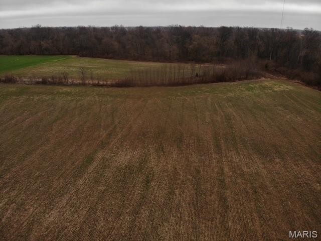 0 Felton Road Centralia, IL 62801 - Photo 6 of 7