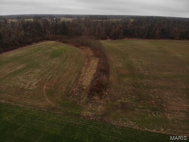 0 Felton Road Centralia, IL 62801 - Photo 7 of 7