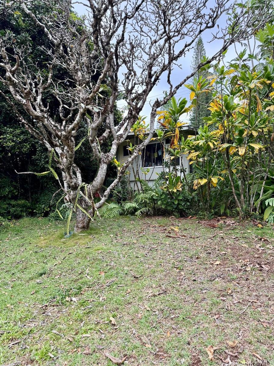 59-543 Alapio Road Haleiwa, HI 96712 - Photo 7 of 17 Back of Cottage Rental
