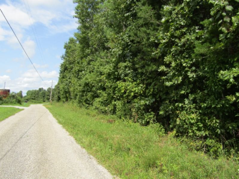 2 Bill Roberts Road Sunbright, TN 37872 - Photo 1 of 31 a view of a street