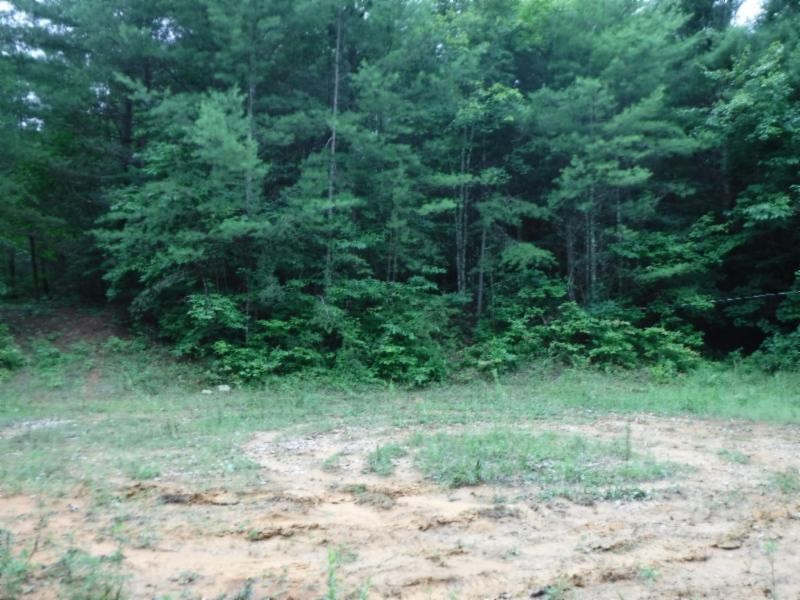 2 Bill Roberts Road Sunbright, TN 37872 - Photo 14 of 31 a view of a trees in a yard
