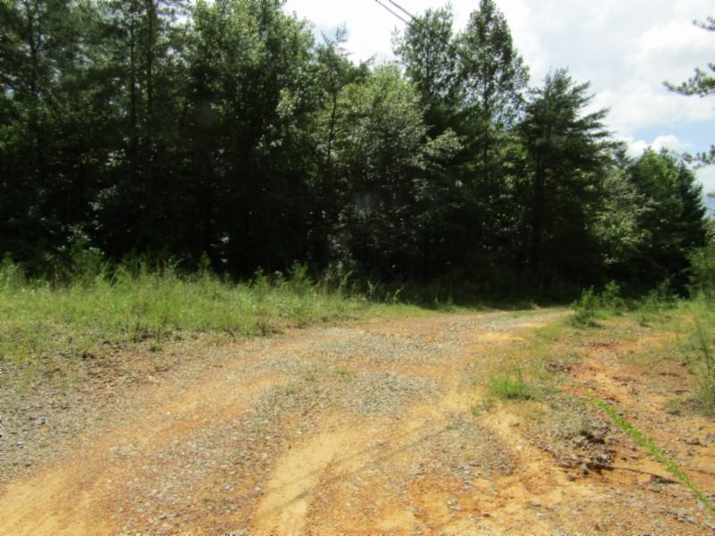 2 Bill Roberts Road Sunbright, TN 37872 - Photo 3 of 31 a view of outdoor space and yard