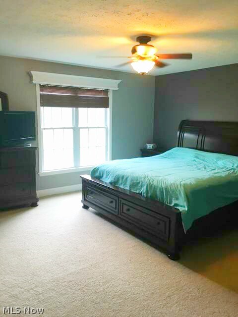 3995 Hamilton Road Medina, OH 44256 - Photo 11 of 19 Gallery Image 11