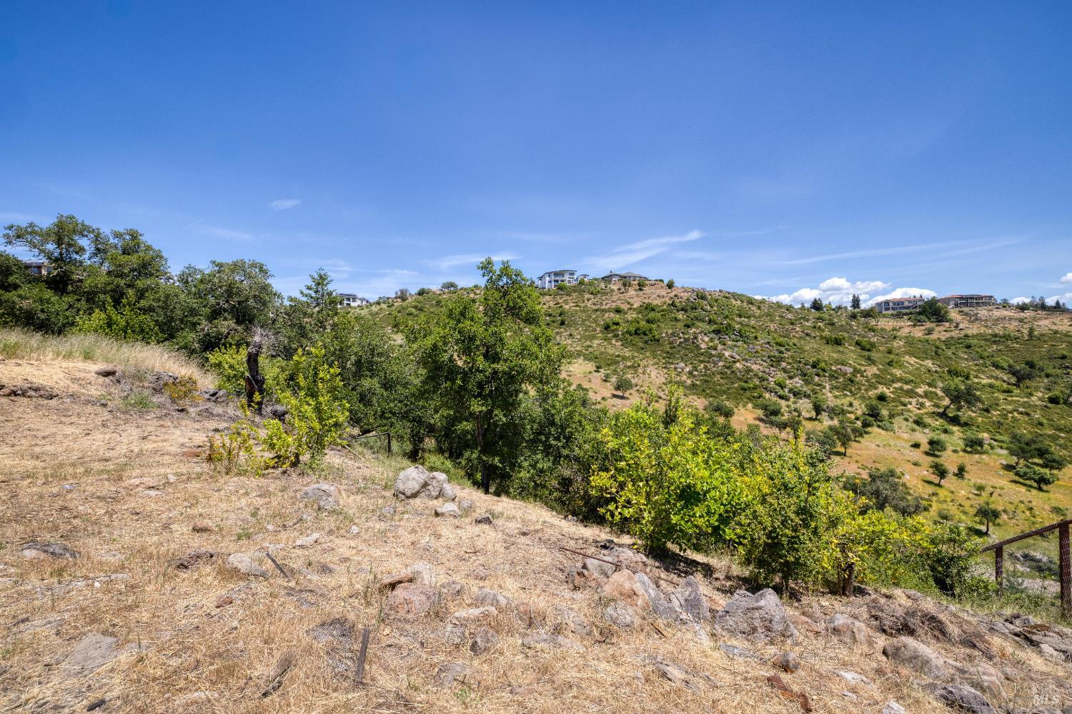 3752 Crown Hill Drive Santa Rosa, CA 95404 - Photo 11 of 24 a view of a yard with a tree