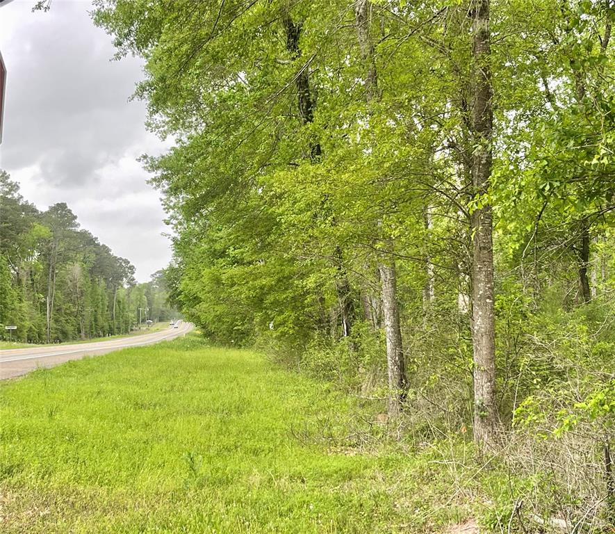 Lake Road Coldspring, TX 77331 - Photo 1 of 11 a view of outdoor space and yard