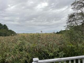 675 North Sunken Meadow Road Eastham, MA 02642 - Photo 3 of 26 DECK VIEW SUNKEN