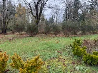 a big yard with lots of green space and deers