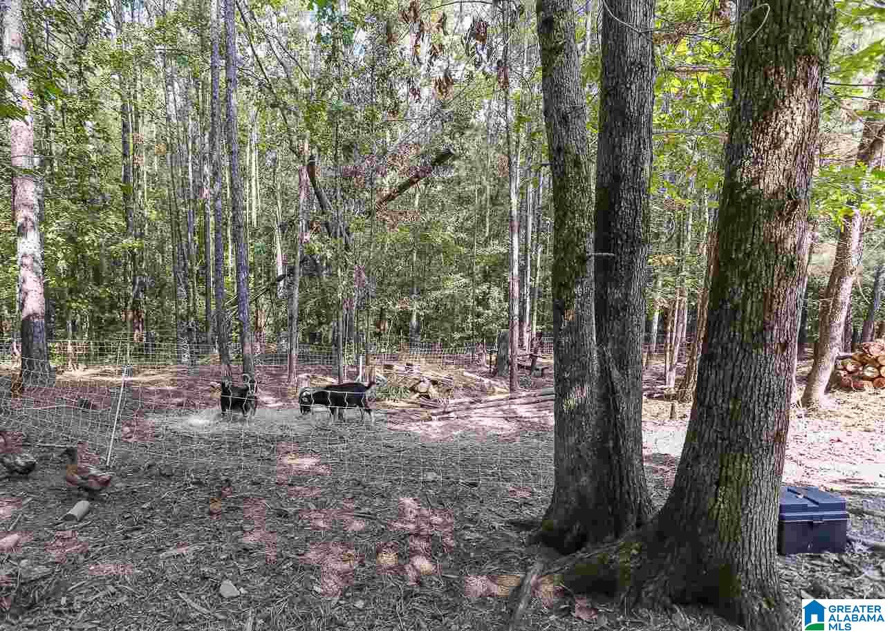 2393 Sportsman Lake Road Odenville, AL 35120 - Photo 28 of 31