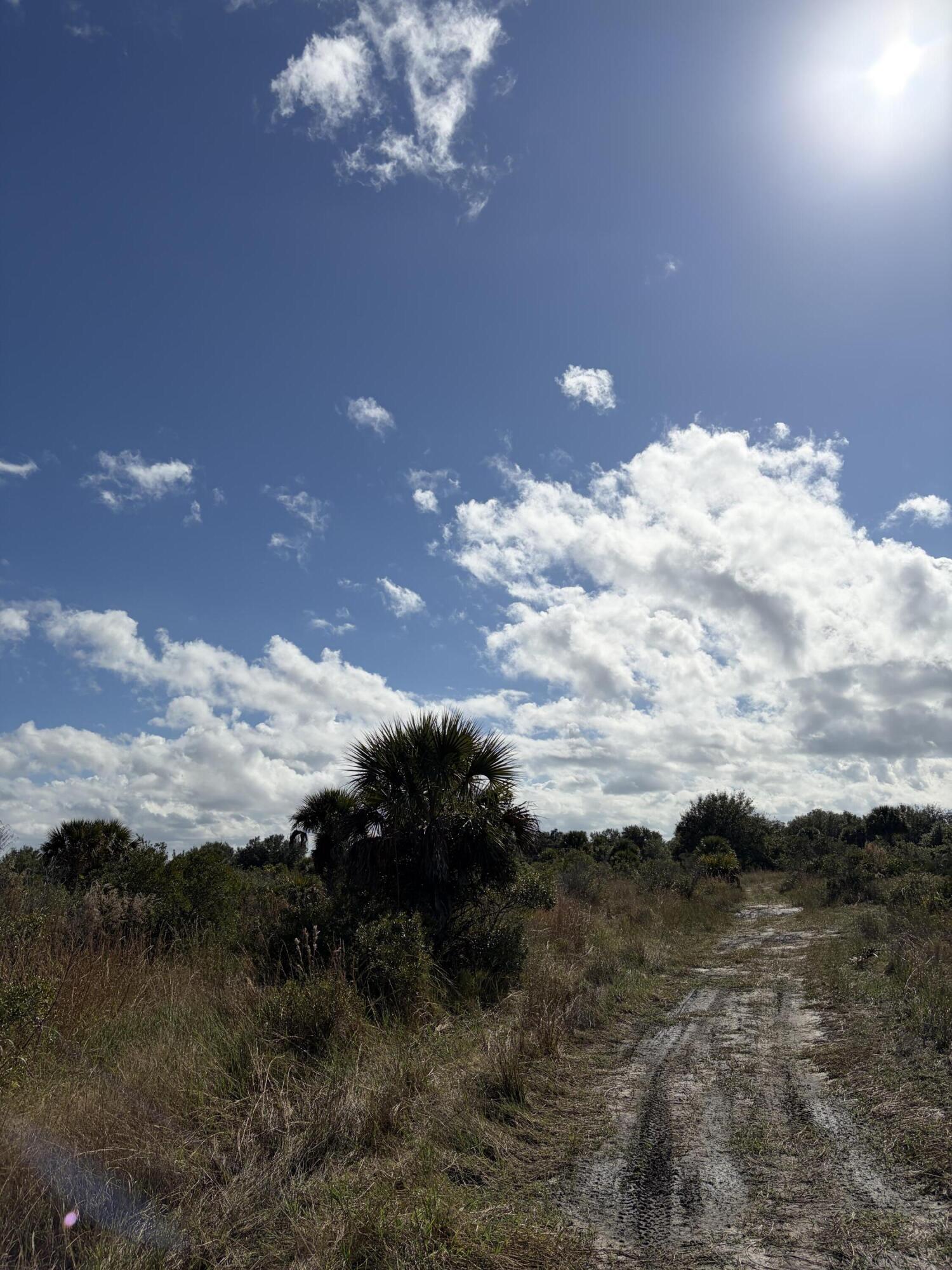 0 Northwest 308th Street Okeechobee, FL 34972 - Photo 4 of 7 a view of a yard in a field