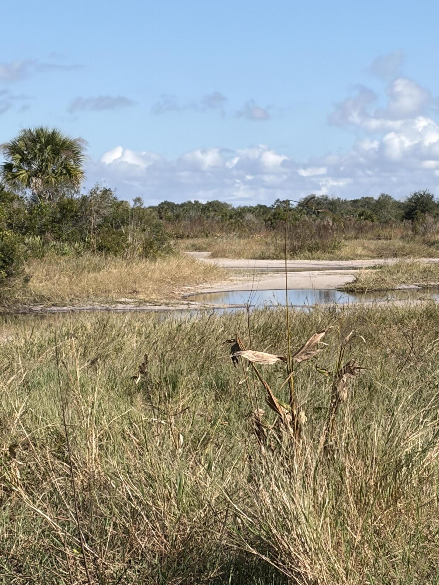 0 Northwest 308th Street Okeechobee, FL 34972 - Photo 6 of 7 a view of lake and mountain