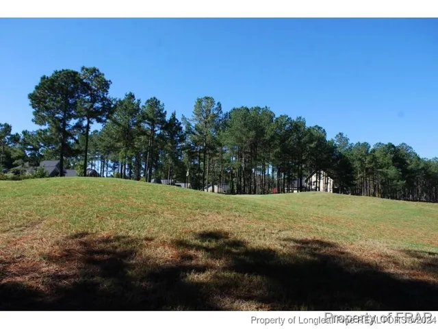 a view of outdoor space with trees all around