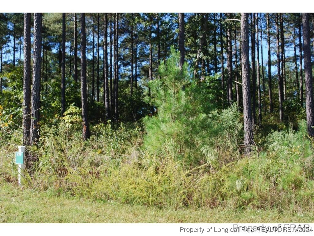 45 Broadlake Lane Spring Lake, NC 28390 - Photo 2 of 14 a view of a garden