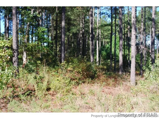 a view of outdoor space and green space
