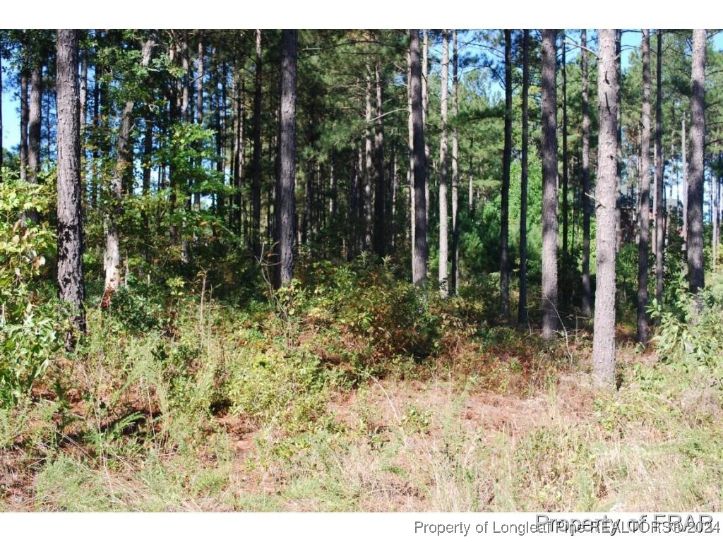 45 Broadlake Lane Spring Lake, NC 28390 - Photo 3 of 14 a view of outdoor space and green space