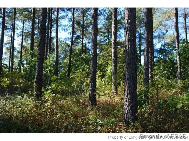 a view of outdoor space and green trees
