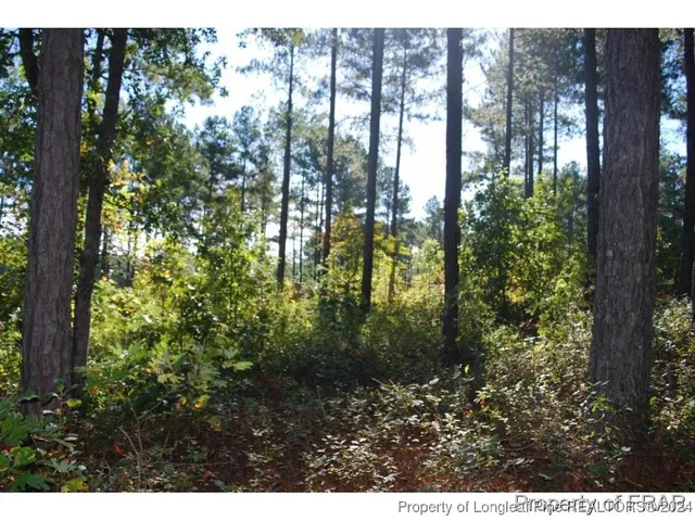 a view of outdoor space and garden