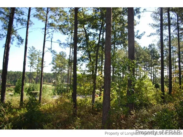 a view of outdoor space and garden