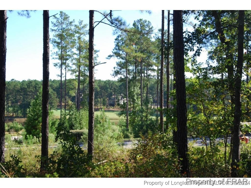 45 Broadlake Lane Spring Lake, NC 28390 - Photo 7 of 14 a view of outdoor space and trees
